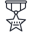 reward icon